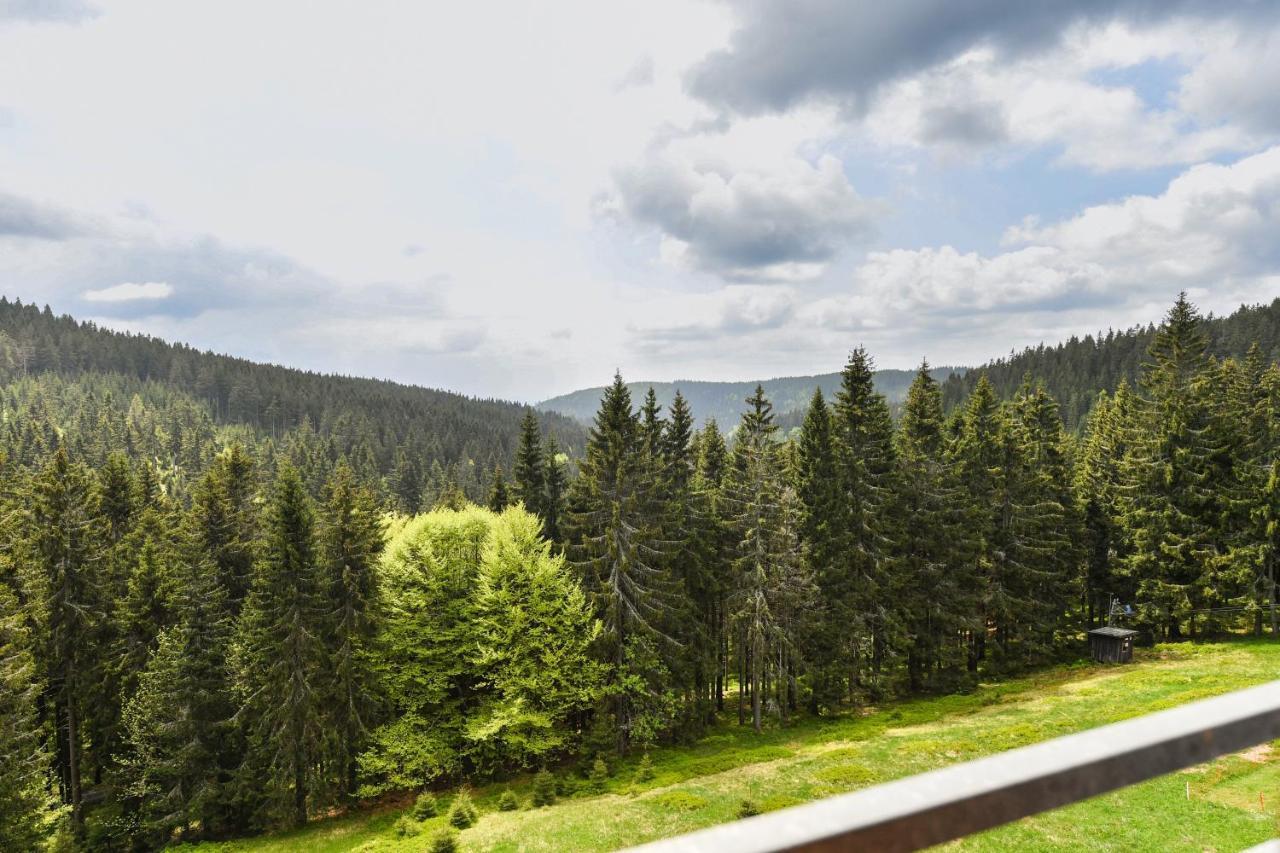 Cihlarka Apartment 306 Pec pod Sněžkou Kültér fotó